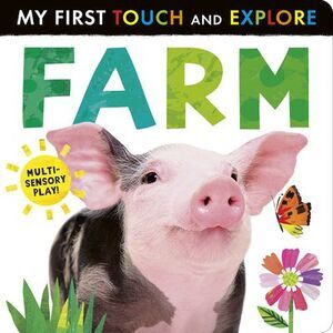 Farm: My First Touch and Explore: Multi-Sensory Play! -- Tiger Tales
